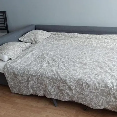 Cozy Big Apartment, Free Parking 25 Min To Center